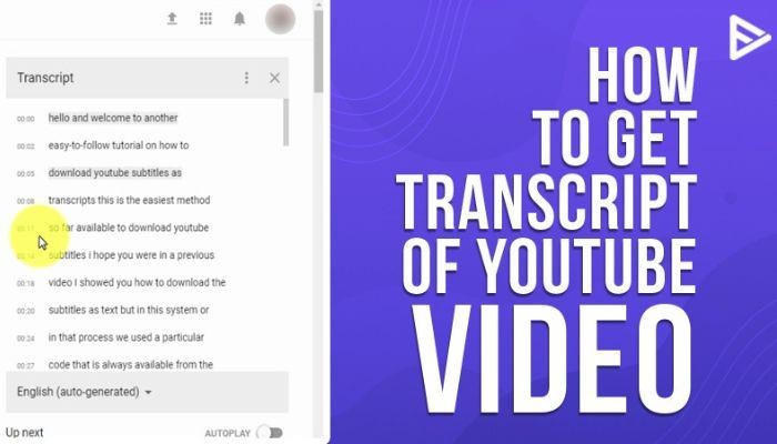 How to get transcript of youtube video